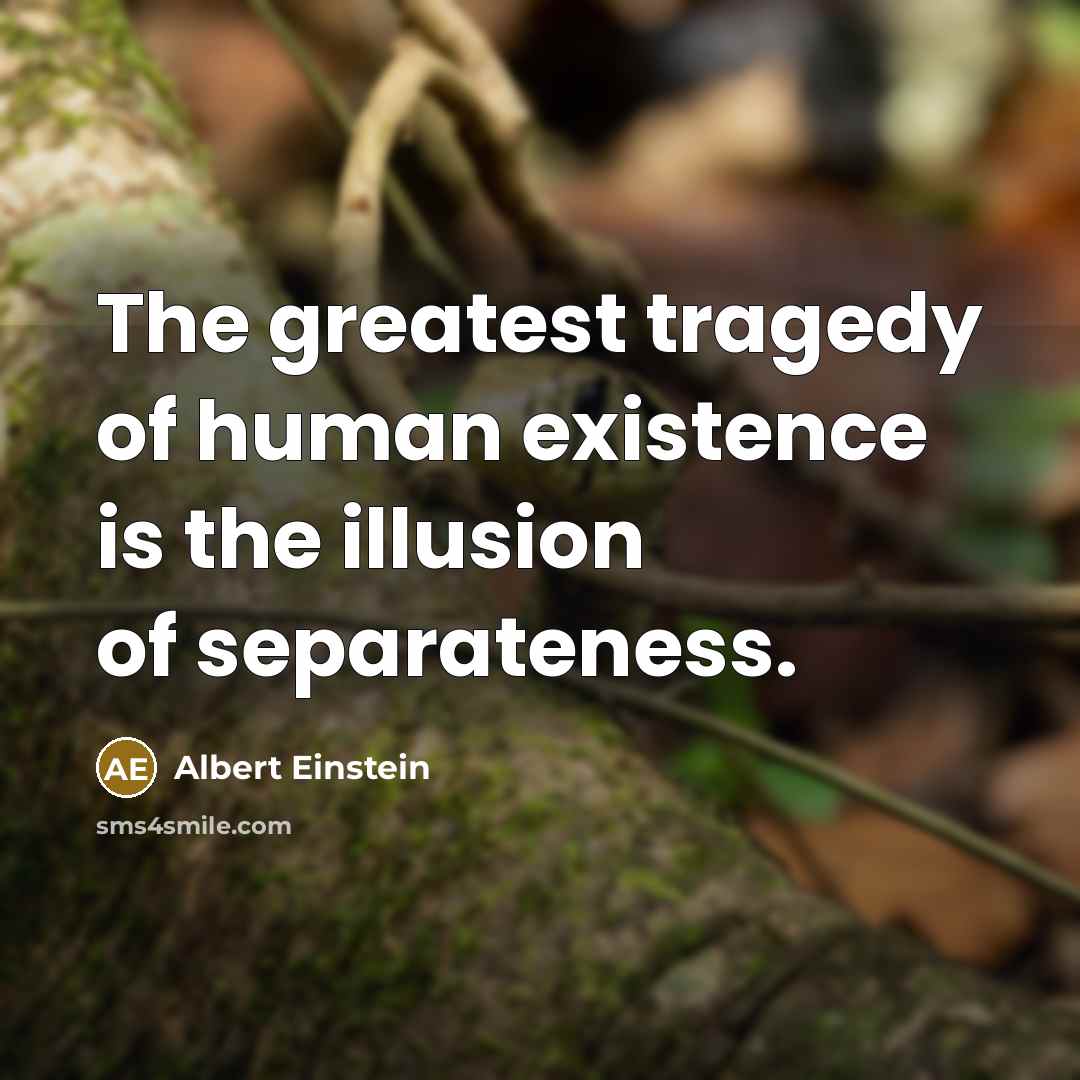 “The greatest tragedy of human existence is the illusion of separateness.” quote by Albert Einstein