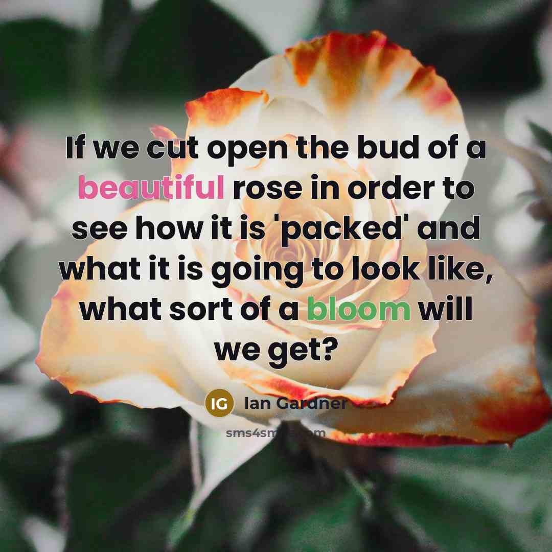 “If we cut open the bud of a beautiful rose in order to see how it is 'packed' and what it is going to look like, what sort of a bloom will we get?” quote by Ian Gardner