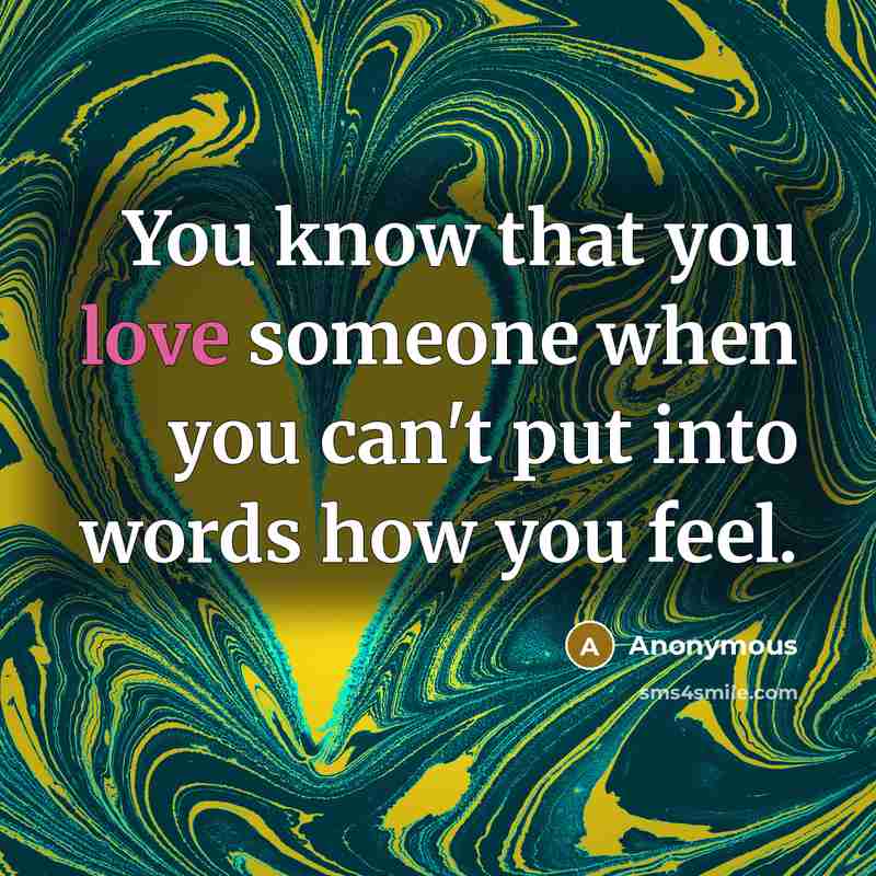 “You know that you love someone when you can't put into words how you feel.” quote by Anonymous