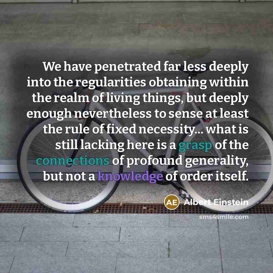 “We have penetrated far less deeply into the regularities obtaining within the realm of living things, but deeply enough nevertheless to sense at least the rule of fixed necessity... what is still lacking here is a grasp of the connections of profound generality, but not a knowledge of order itself.” quote by Albert Einstein