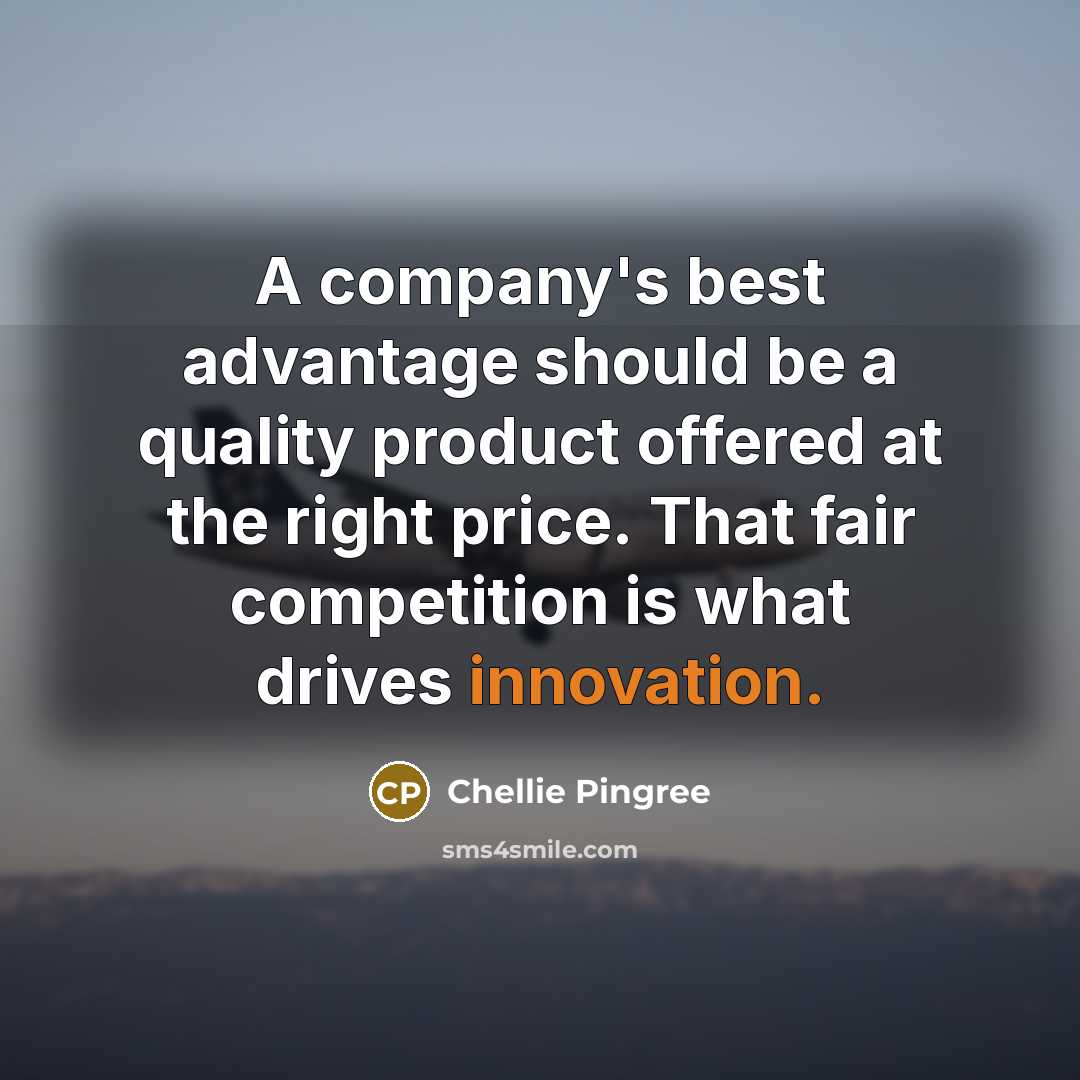 “A company's best advantage should be a quality product offered at the right price. That fair competition is what drives innovation.” quote by Chellie Pingree
