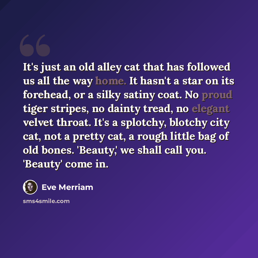“It's just an old alley cat that has followed us all the way home. It hasn't a star on its forehead, or a silky satiny coat. No proud tiger stripes, no dainty tread, no elegant velvet throat. It's a splotchy, blotchy city cat, not a pretty cat, a rough little bag of old bones. 'Beauty,' we shall…” quote by Eve Merriam