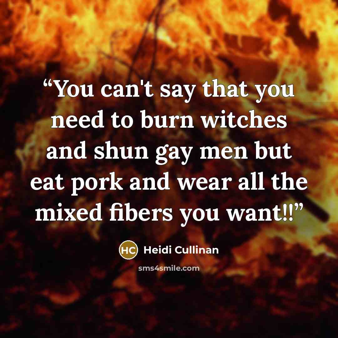 “You can't say that you need to burn witches and shun gay men but eat pork and wear all the mixed fibers you want!!” quote by Heidi Cullinan