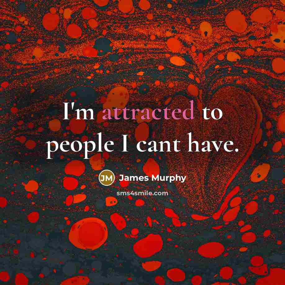 “I'm attracted to people I cant have.” quote by James Murphy