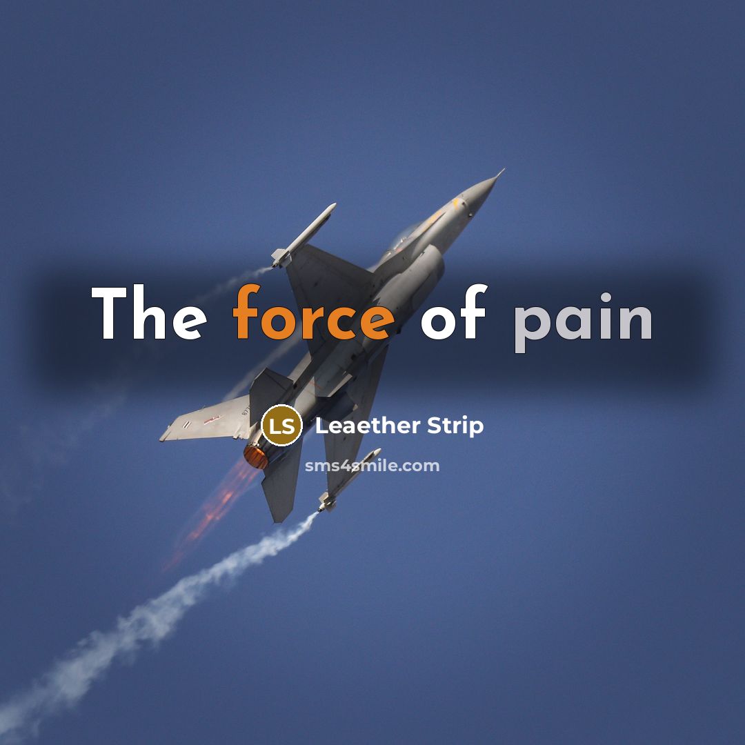 “The force of pain” quote by Leaether Strip