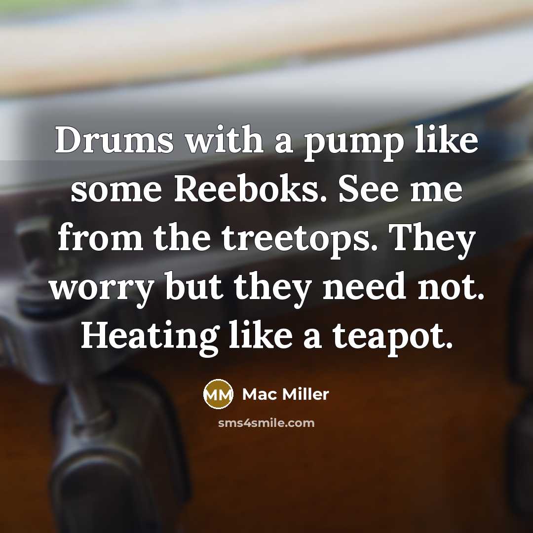 “Drums with a pump like some Reeboks. See me from the treetops. They worry but they need not. Heating like a teapot.” quote by Mac Miller