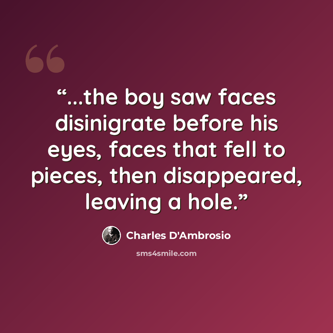 “...the boy saw faces disinigrate before his eyes, faces that fell to pieces, then disappeared, leaving a hole.” quote by Charles D'Ambrosio