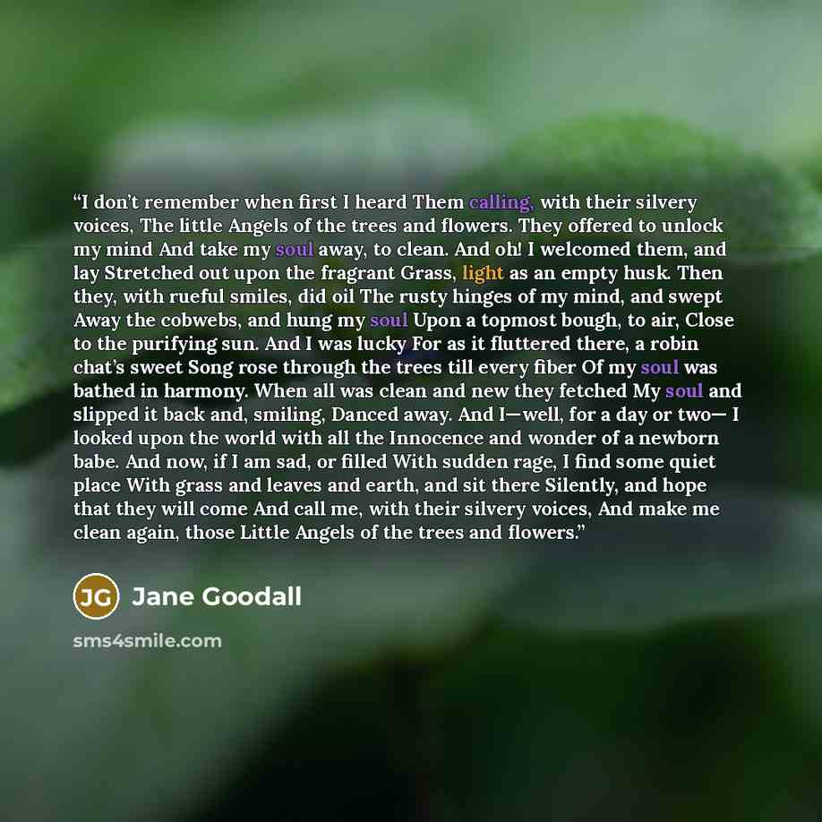 “I don’t remember when first I heard Them calling, with their silvery voices, The little Angels of the trees and flowers. They offered to unlock my mind And take my soul away, to clean. And oh! I welcomed them, and lay Stretched out upon the fragrant Grass, light as an empty husk. Then they, with…” quote by Jane Goodall