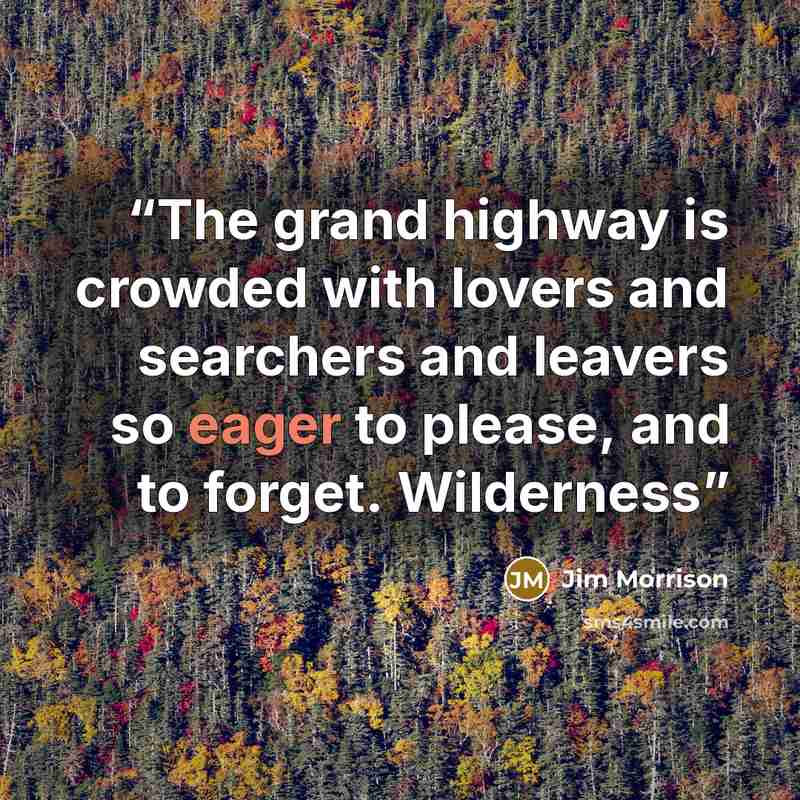 “The grand highway is crowded with lovers and searchers and leavers so eager to please, and to forget. Wilderness” quote by Jim Morrison