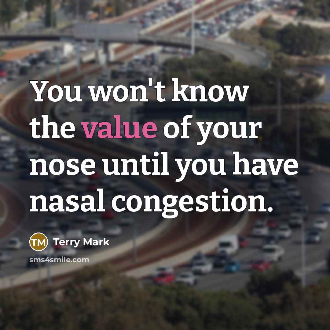 “You won't know the value of your nose until you have nasal congestion.” quote by Terry Mark