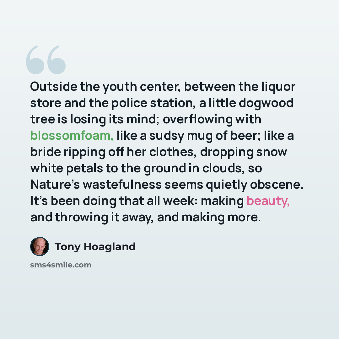 “Outside the youth center, between the liquor store and the police station, a little dogwood tree is losing its mind; overflowing with blossomfoam, like a sudsy mug of beer; like a bride ripping off her clothes, dropping snow white petals to the ground in clouds, so Nature’s wastefulness seems…” quote by Tony Hoagland