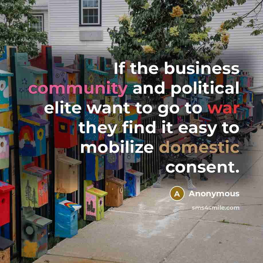 “If the business community and political elite want to go to war they find it easy to mobilize domestic consent.” quote by Anonymous