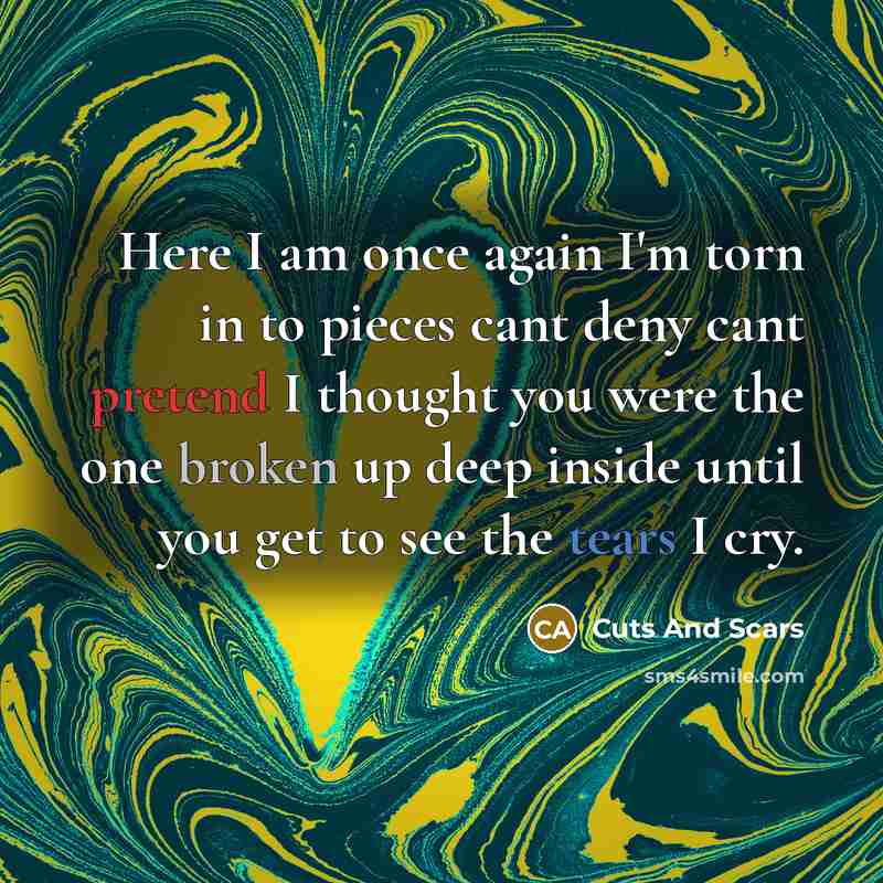 “Here I am once again I'm torn in to pieces cant deny cant pretend I thought you were the one broken up deep inside until you get to see the tears I cry.” quote by Cuts And Scars