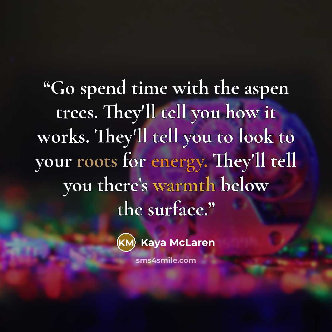 “Go spend time with the aspen trees. They'll tell you how it works. They'll tell you to look to your roots for energy. They'll tell you there's warmth below the surface.” quote by Kaya McLaren