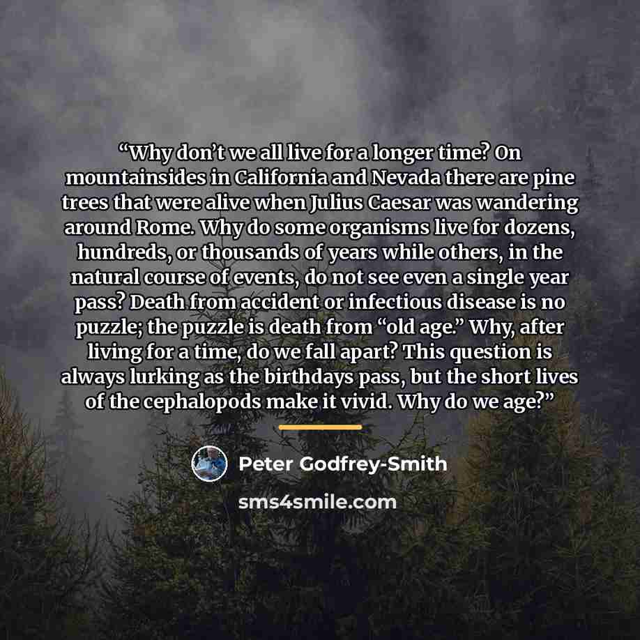 “Why don’t we all live for a longer time? On mountainsides in California and Nevada there are pine trees that were alive when Julius Caesar was wandering around Rome. Why do some organisms live for dozens, hundreds, or thousands of years while others, in the natural course of events, do not see…” quote by Peter Godfrey-Smith