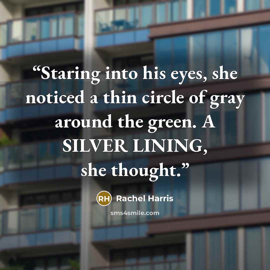 “Staring into his eyes, she noticed a thin circle of gray around the green. A SILVER LINING, she thought.” quote by Rachel Harris