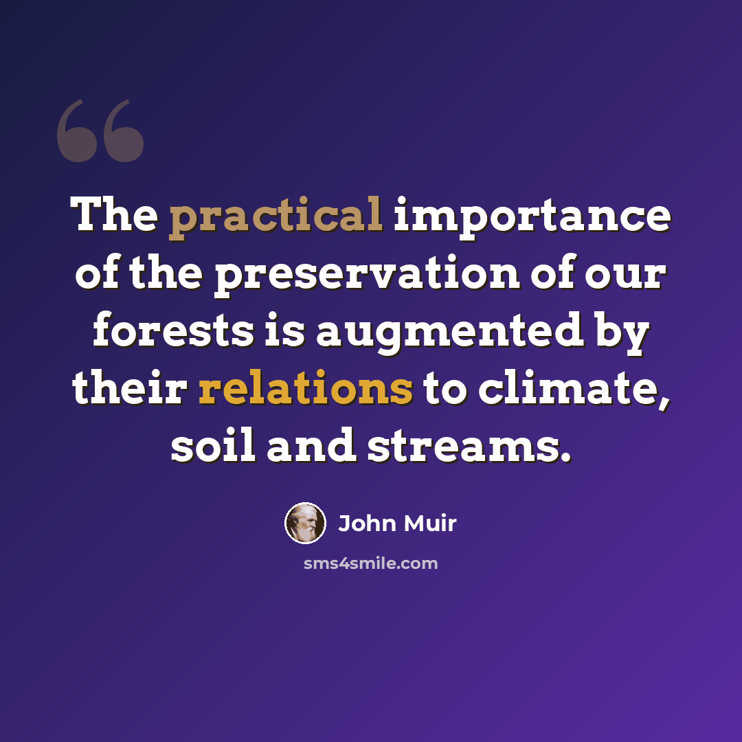 “The practical importance of the preservation of our forests is augmented by their relations to climate, soil and streams.” quote by John Muir
