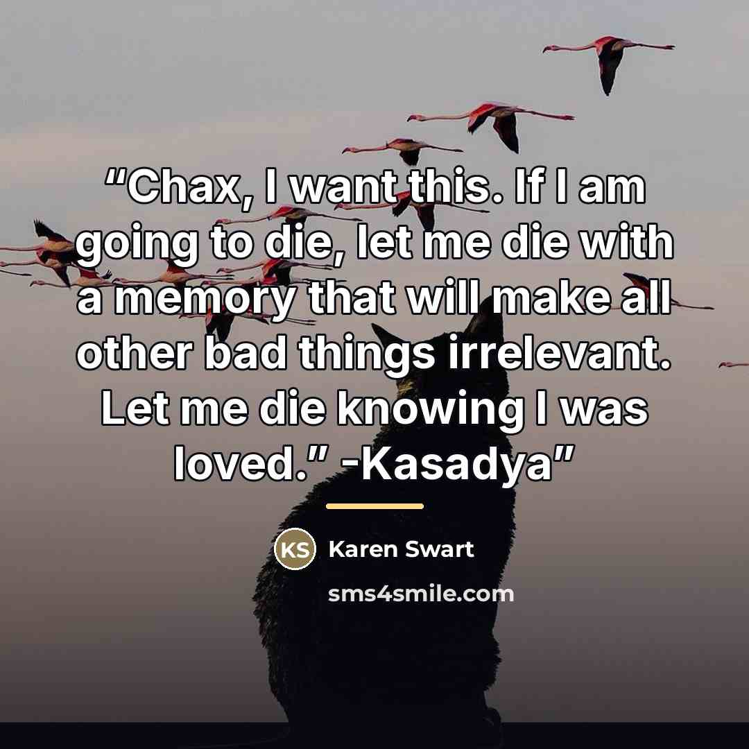 “Chax, I want this. If I am going to die, let me die with a memory that will make all other bad things irrelevant. Let me die knowing I was loved.” -Kasadya” quote by Karen Swart