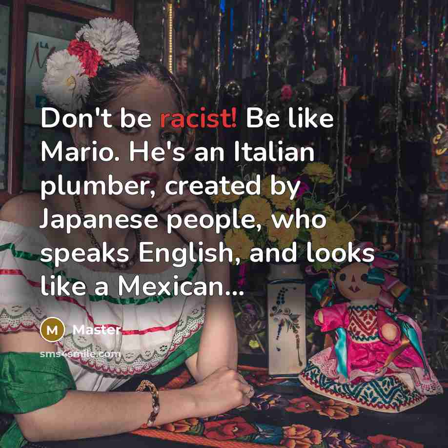 “Don't be racist! Be like Mario. He's an Italian plumber, created by Japanese people, who speaks English, and looks like a Mexican...” quote by Master