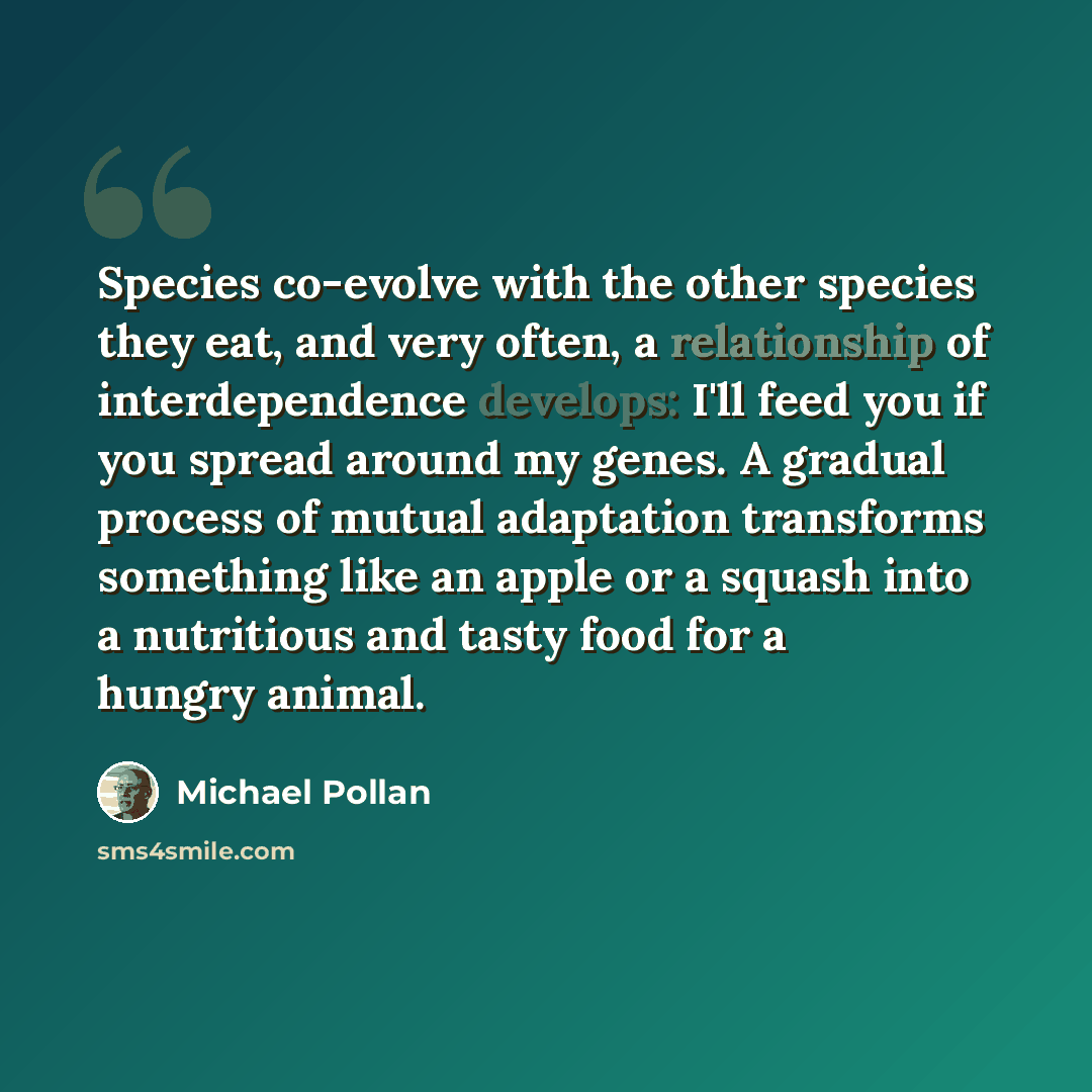 “Species co-evolve with the other species they eat, and very often, a relationship of interdependence develops: I'll feed you if you spread around my genes. A gradual process of mutual adaptation transforms something like an apple or a squash into a nutritious and tasty food for a hungry animal.” quote by Michael Pollan