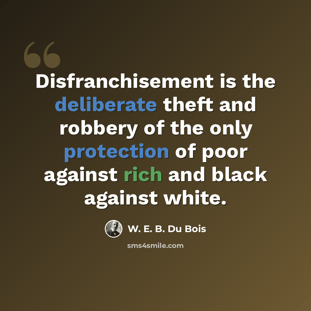 “Disfranchisement is the deliberate theft and robbery of the only protection of poor against rich and black against white.” quote by W. E. B. Du Bois