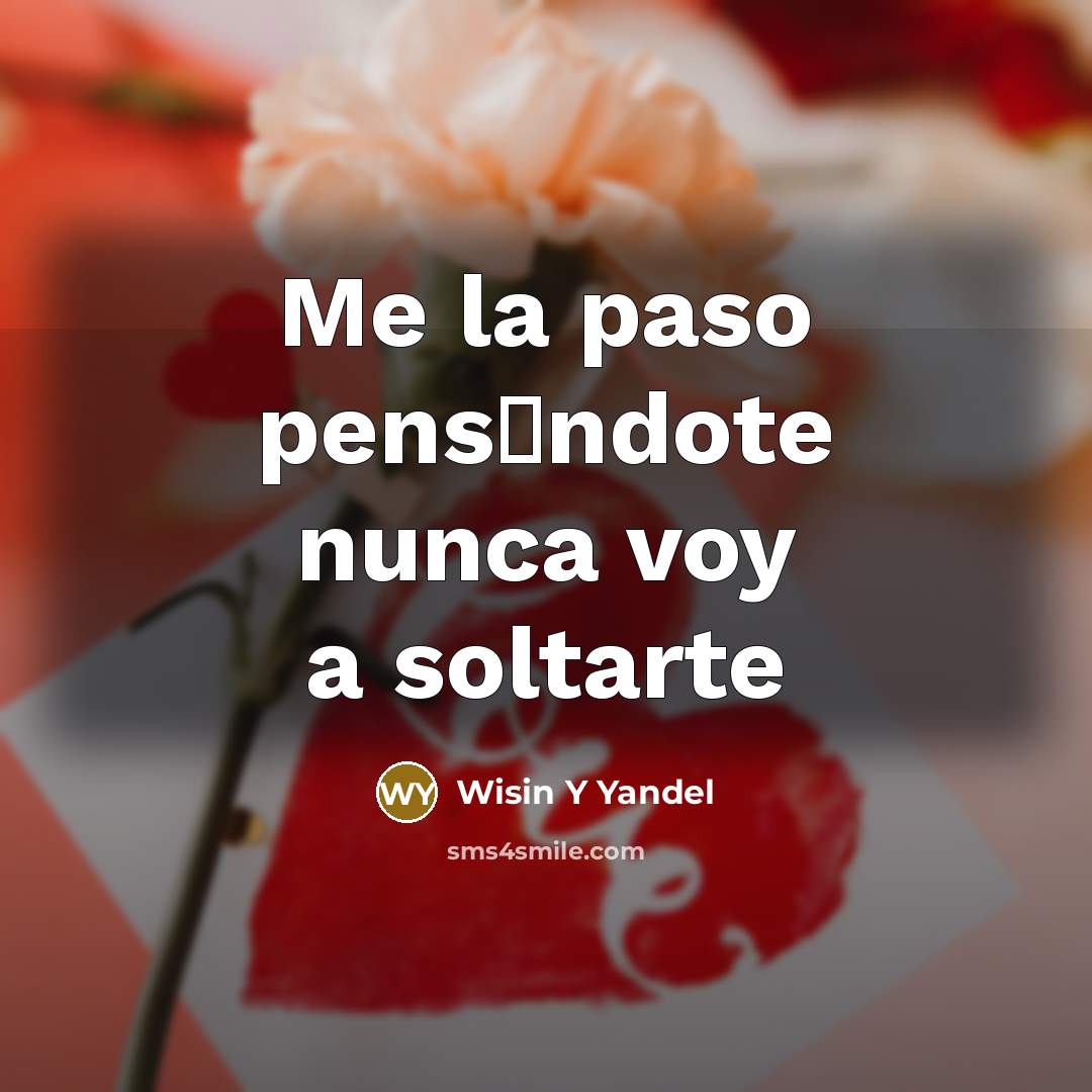 “Me la paso pens�ndote nunca voy a soltarte” quote by Wisin Y Yandel