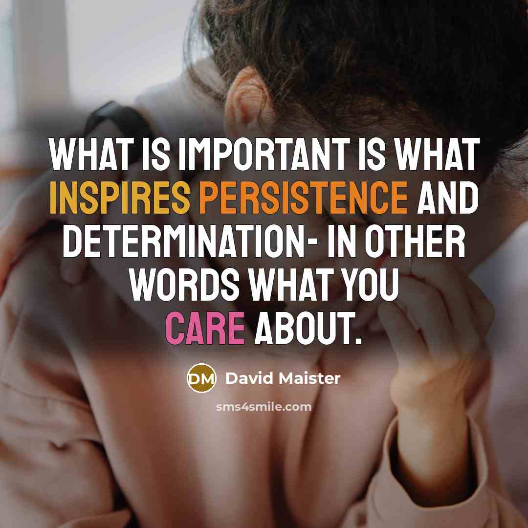 “What is important is what inspires persistence and determination- in other words what you care about.” quote by David Maister