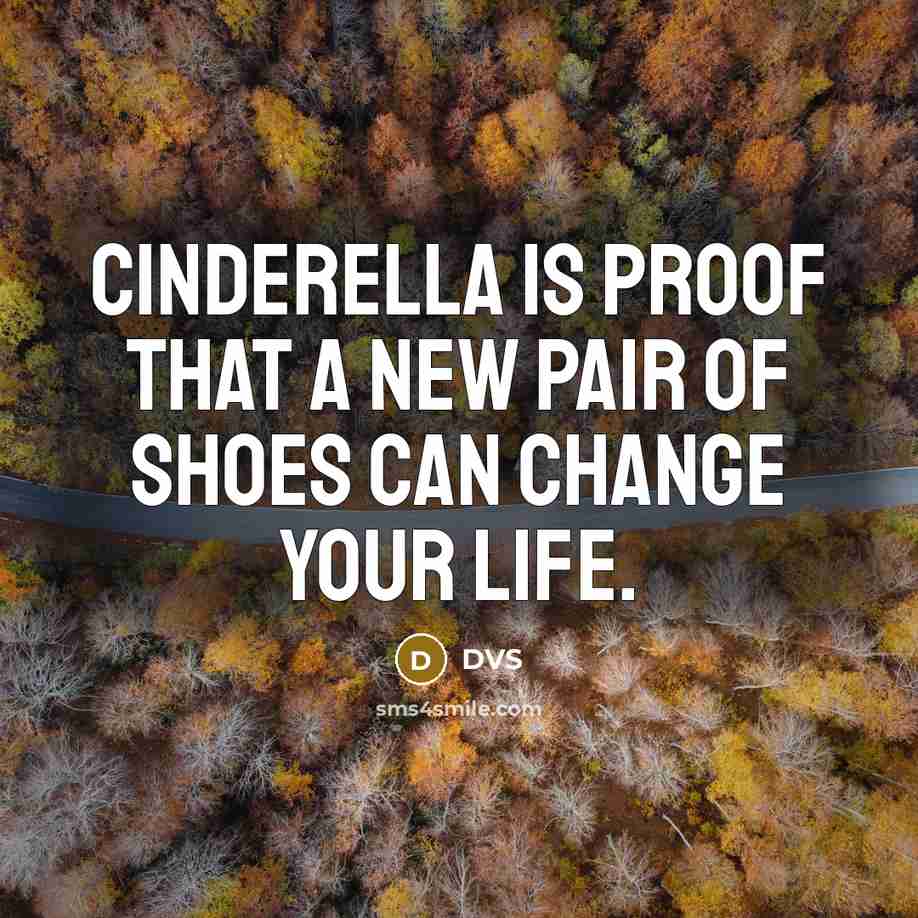 “Cinderella is proof that a new pair of shoes can change your life.” quote by DVS
