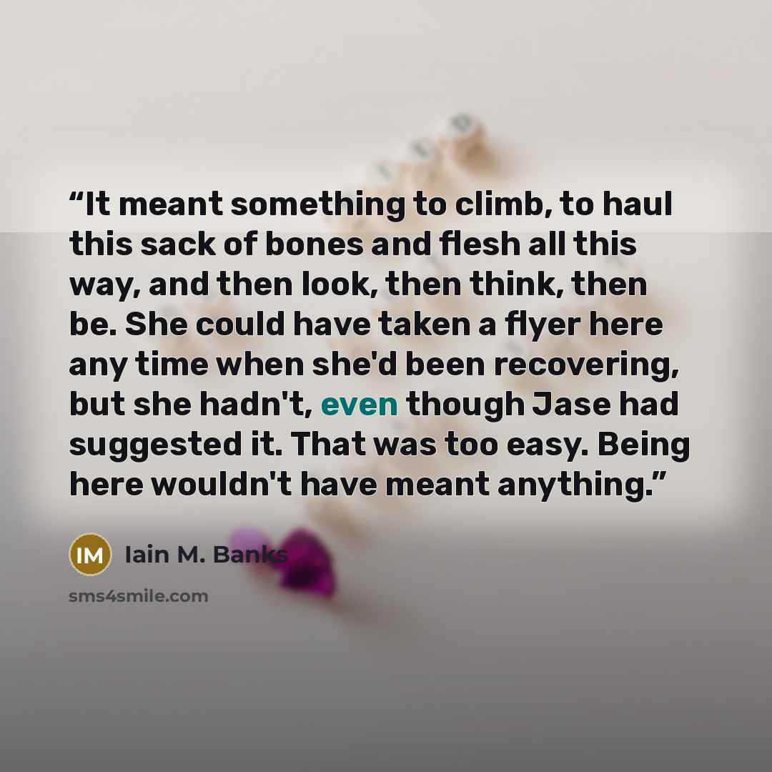 “It meant something to climb, to haul this sack of bones and flesh all this way, and then look, then think, then be. She could have taken a flyer here any time when she'd been recovering, but she hadn't, even though Jase had suggested it. That was too easy. Being here wouldn't have meant anything.” quote by Iain M. Banks