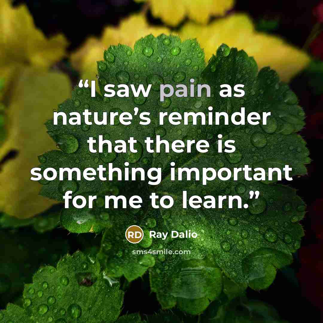 “I saw pain as nature’s reminder that there is something important for me to learn.” quote by Ray Dalio
