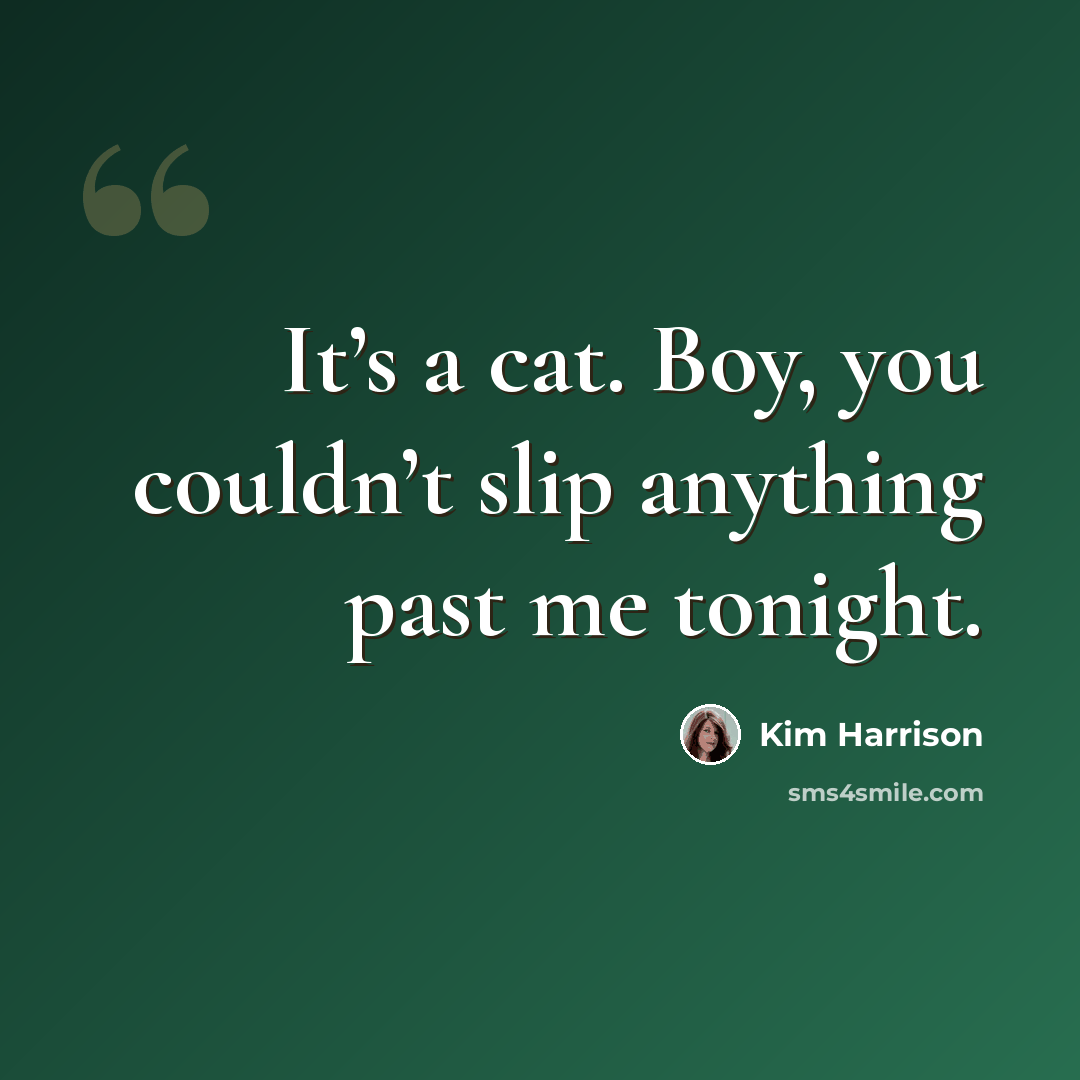 “It’s a cat. Boy, you couldn’t slip anything past me tonight.” quote by Kim Harrison