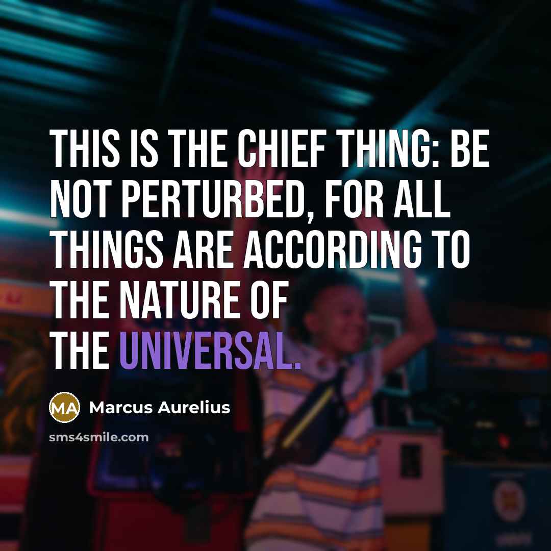 “This is the chief thing: be not perturbed, for all things are according to the nature of the universal.” quote by Marcus Aurelius