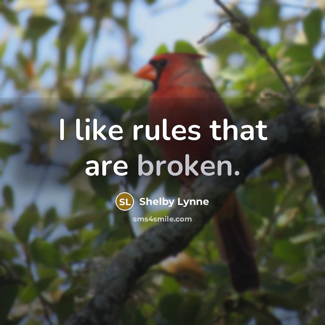 “I like rules that are broken.” quote by Shelby Lynne