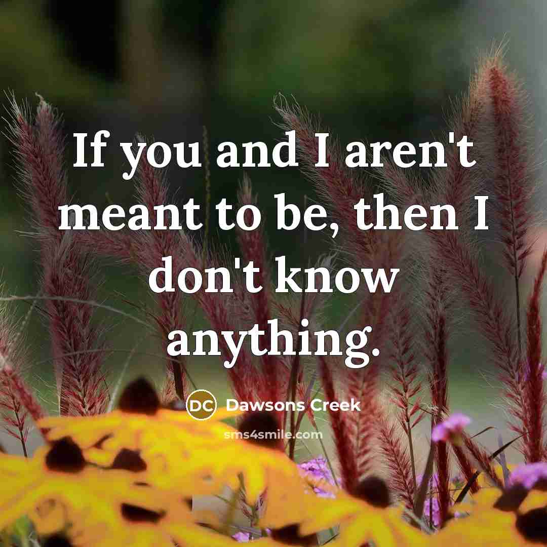 “If you and I aren't meant to be, then I don't know anything.” quote by Dawsons Creek