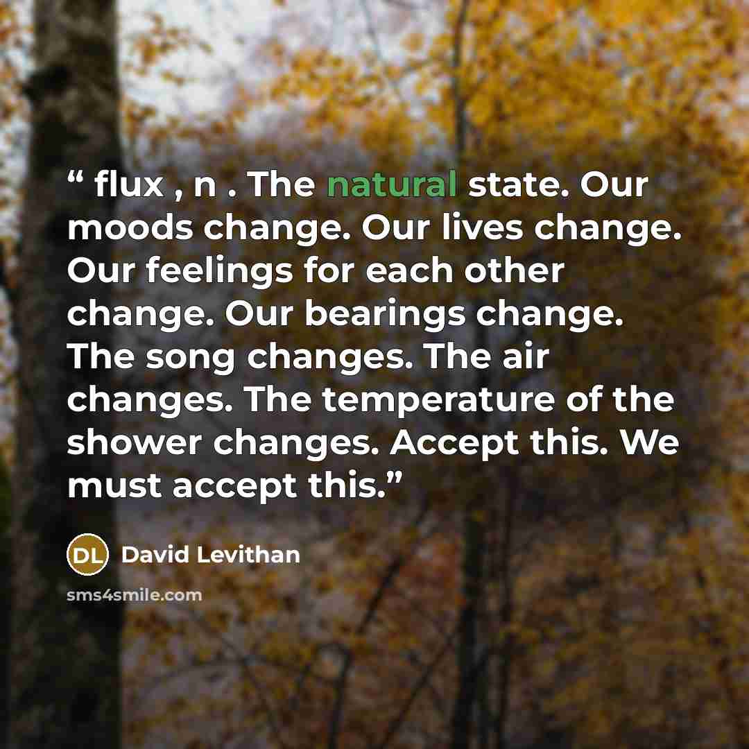 “flux , n . The natural state. Our moods change. Our lives change. Our feelings for each other change. Our bearings change. The song changes. The air changes. The temperature of the shower changes. Accept this. We must accept this.” quote by David Levithan