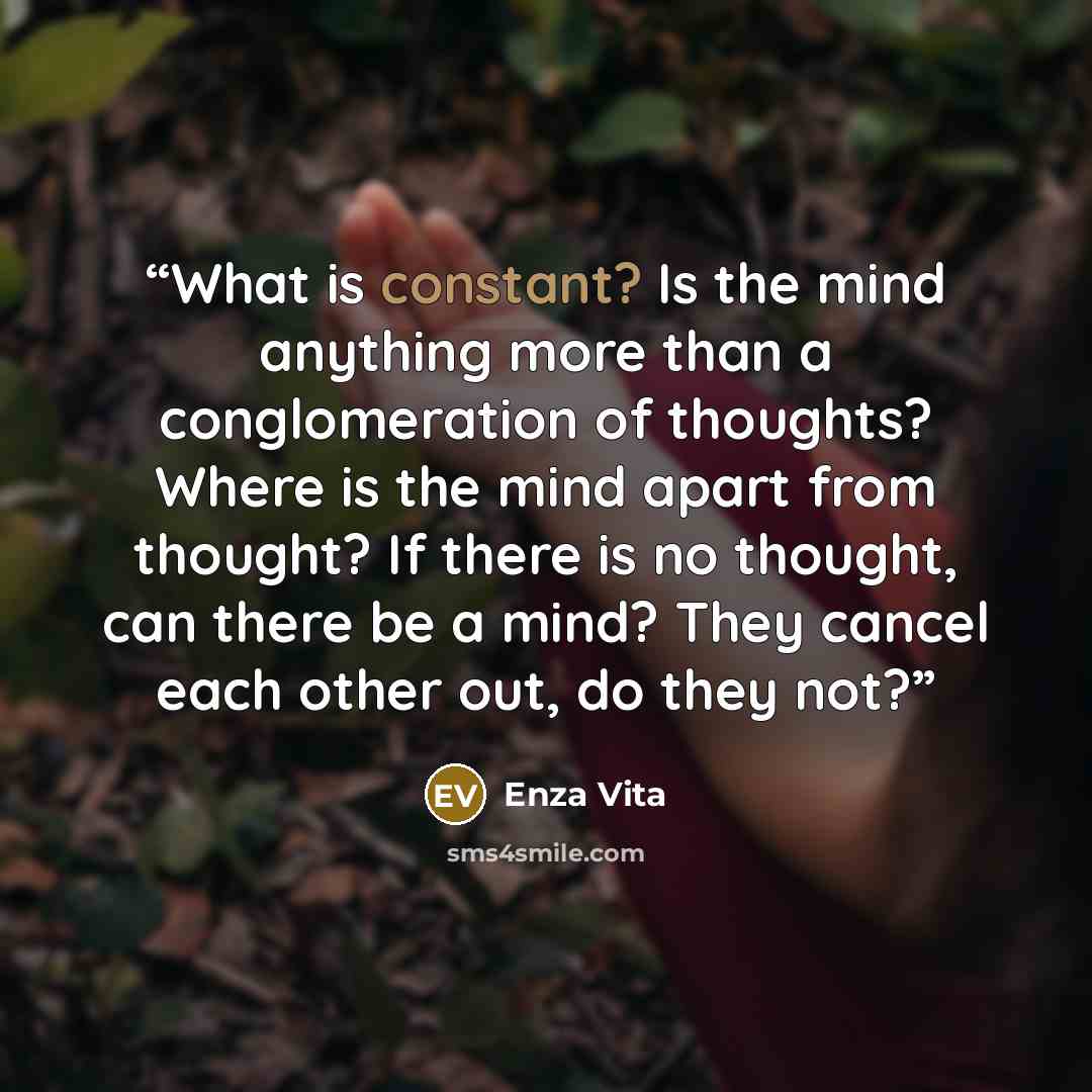 “What is constant? Is the mind anything more than a conglomeration of thoughts? Where is the mind apart from thought? If there is no thought, can there be a mind? They cancel each other out, do they not?” quote by Enza Vita