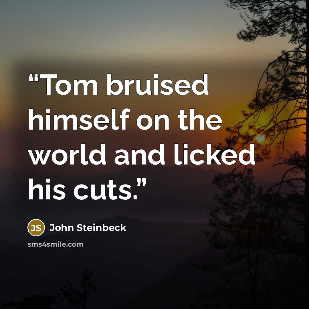 “Tom bruised himself on the world and licked his cuts.” quote by John Steinbeck