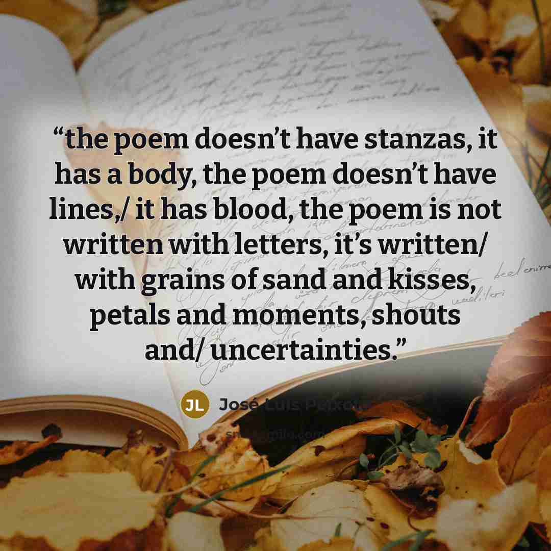 “the poem doesn’t have stanzas, it has a body, the poem doesn’t have lines,/ it has blood, the poem is not written with letters, it’s written/ with grains of sand and kisses, petals and moments, shouts and/ uncertainties.” quote by José Luís Peixoto