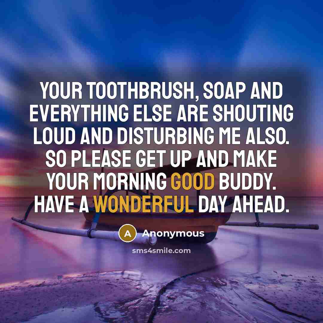 “Your toothbrush, soap and everything else are shouting loud and disturbing me also. So please get up and make your morning good buddy. Have a wonderful day ahead.” quote by Anonymous