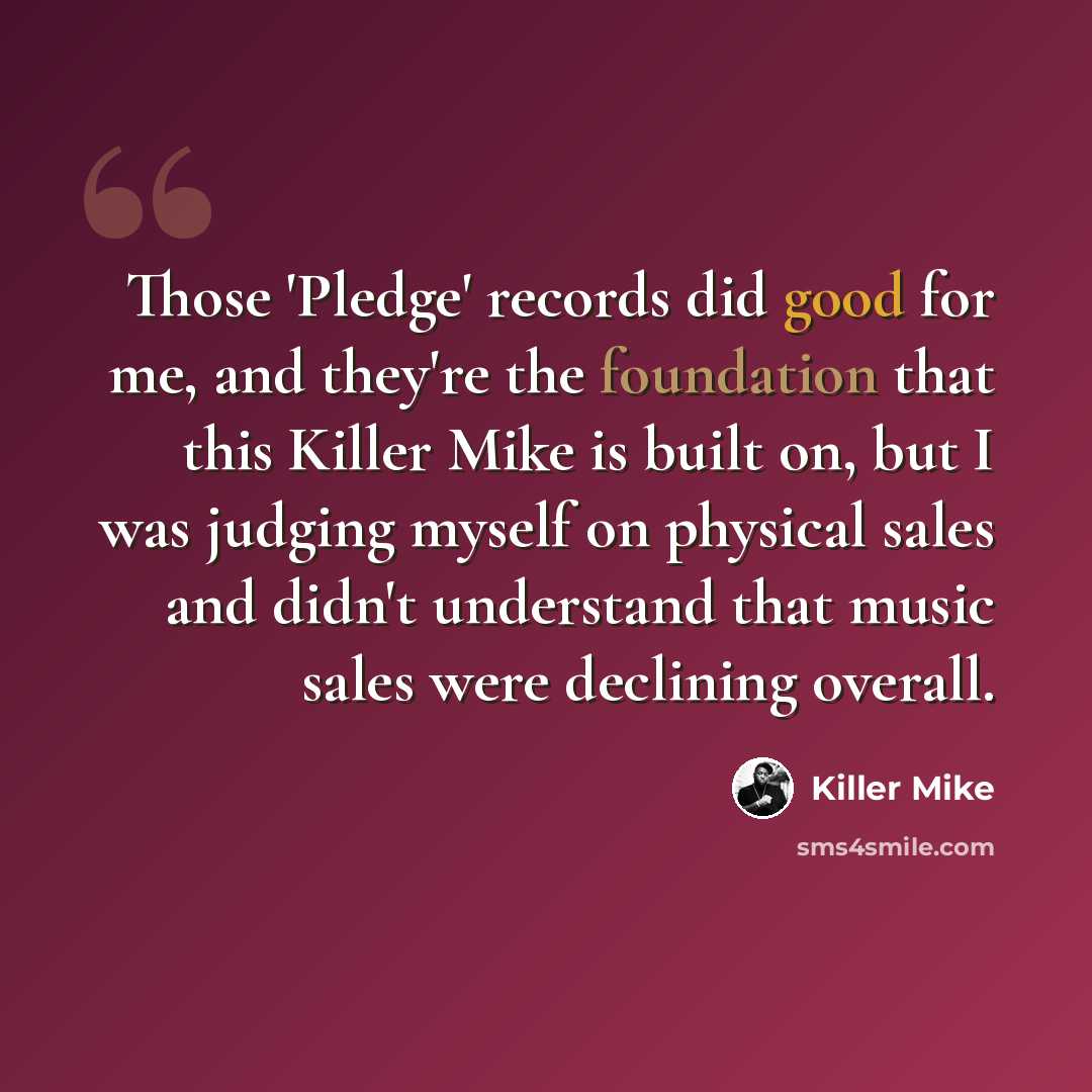 “Those 'Pledge' records did good for me, and they're the foundation that this Killer Mike is built on, but I was judging myself on physical sales and didn't understand that music sales were declining overall.” quote by Killer Mike