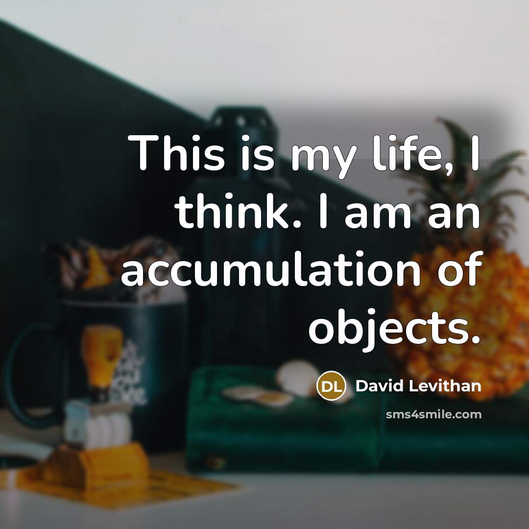 “This is my life, I think. I am an accumulation of objects.” quote by David Levithan