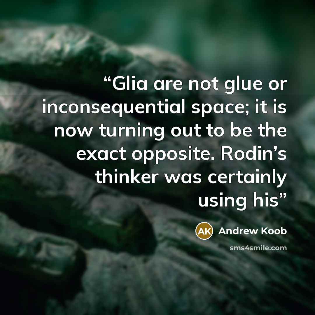 “Glia are not glue or inconsequential space; it is now turning out to be the exact opposite. Rodin’s thinker was certainly using his” quote by Andrew Koob