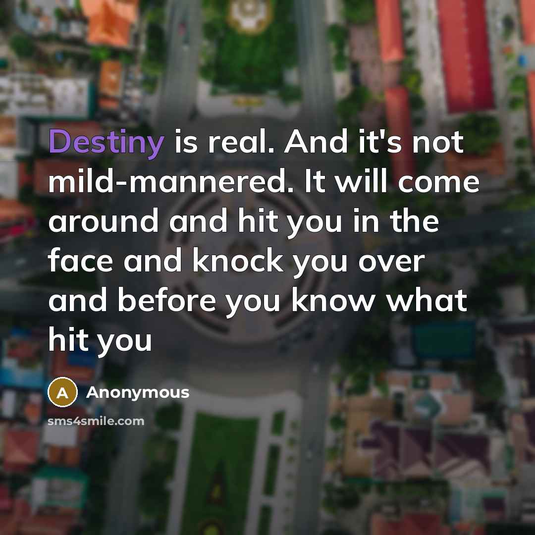 “Destiny is real. And it's not mild-mannered. It will come around and hit you in the face and knock you over and before you know what hit you” quote by Anonymous
