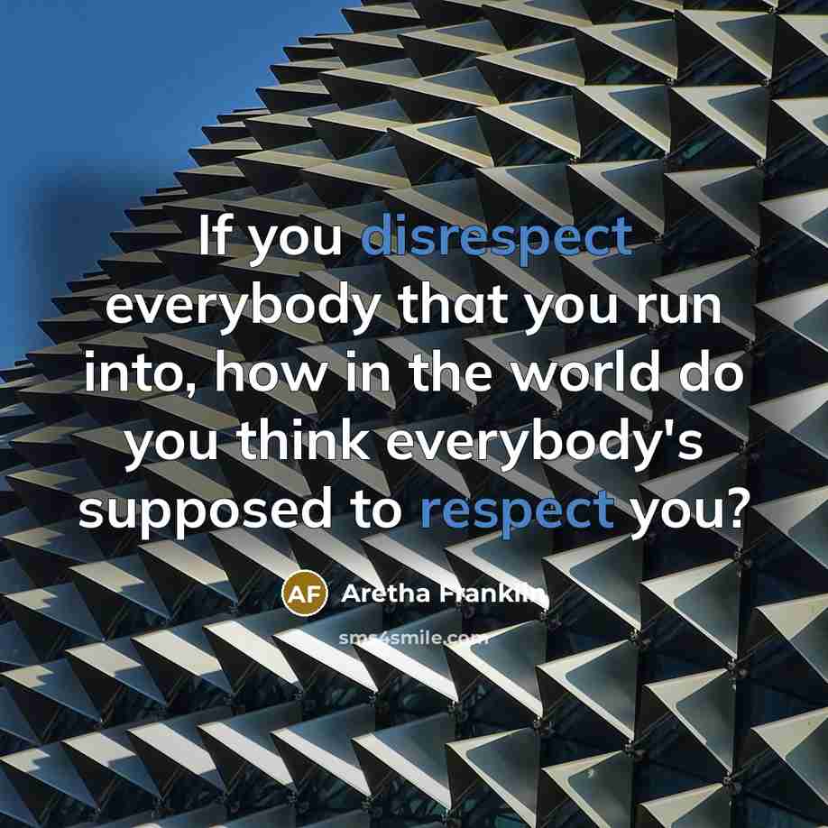 “If you disrespect everybody that you run into, how in the world do you think everybody's supposed to respect you?” quote by Aretha Franklin