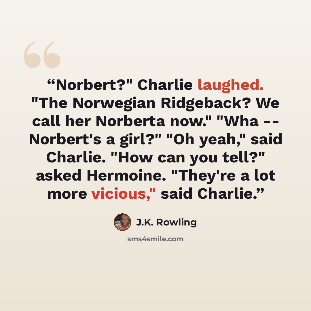 “Norbert?" Charlie laughed. "The Norwegian Ridgeback? We call her Norberta now." "Wha -- Norbert's a girl?" "Oh yeah," said Charlie. "How can you tell?" asked Hermoine. "They're a lot more vicious," said Charlie.” quote by J.K. Rowling