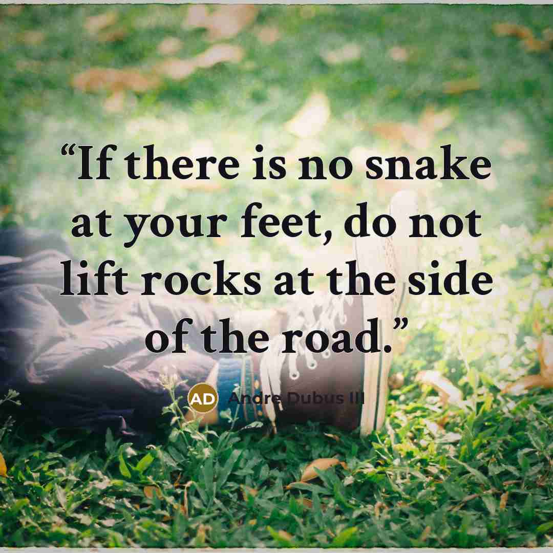 “If there is no snake at your feet, do not lift rocks at the side of the road.” quote by Andre Dubus III
