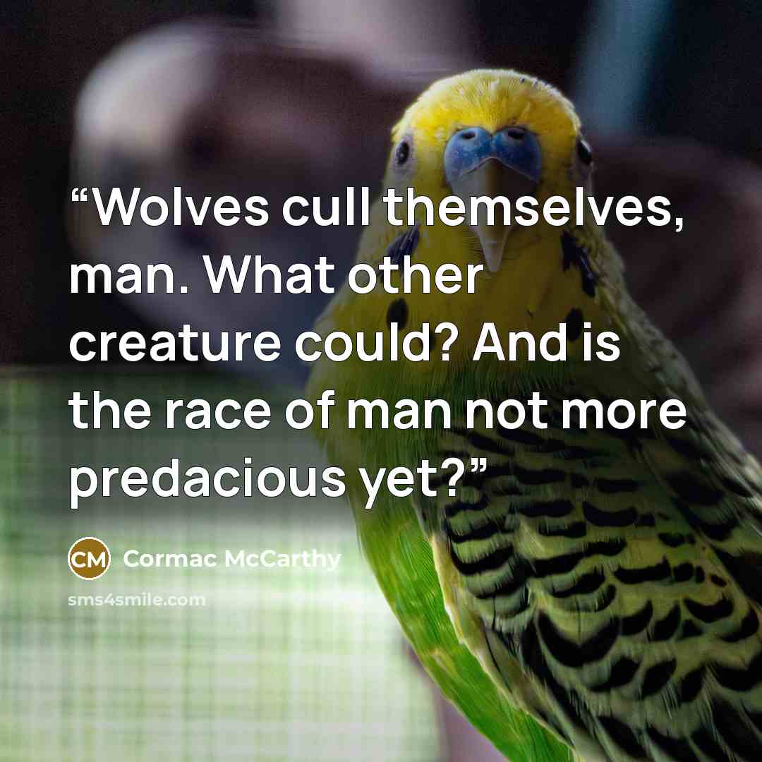 “Wolves cull themselves, man. What other creature could? And is the race of man not more predacious yet?” quote by Cormac McCarthy