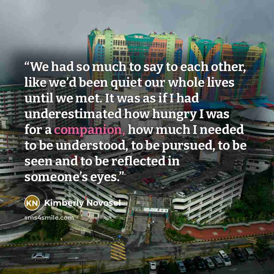 “We had so much to say to each other, like we’d been quiet our whole lives until we met. It was as if I had underestimated how hungry I was for a companion, how much I needed to be understood, to be pursued, to be seen and to be reflected in someone’s eyes.” quote by Kimberly Novosel