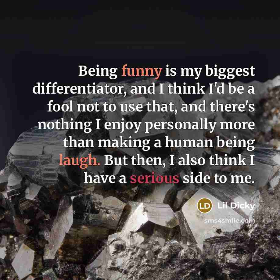 “Being funny is my biggest differentiator, and I think I'd be a fool not to use that, and there's nothing I enjoy personally more than making a human being laugh. But then, I also think I have a serious side to me.” quote by Lil Dicky