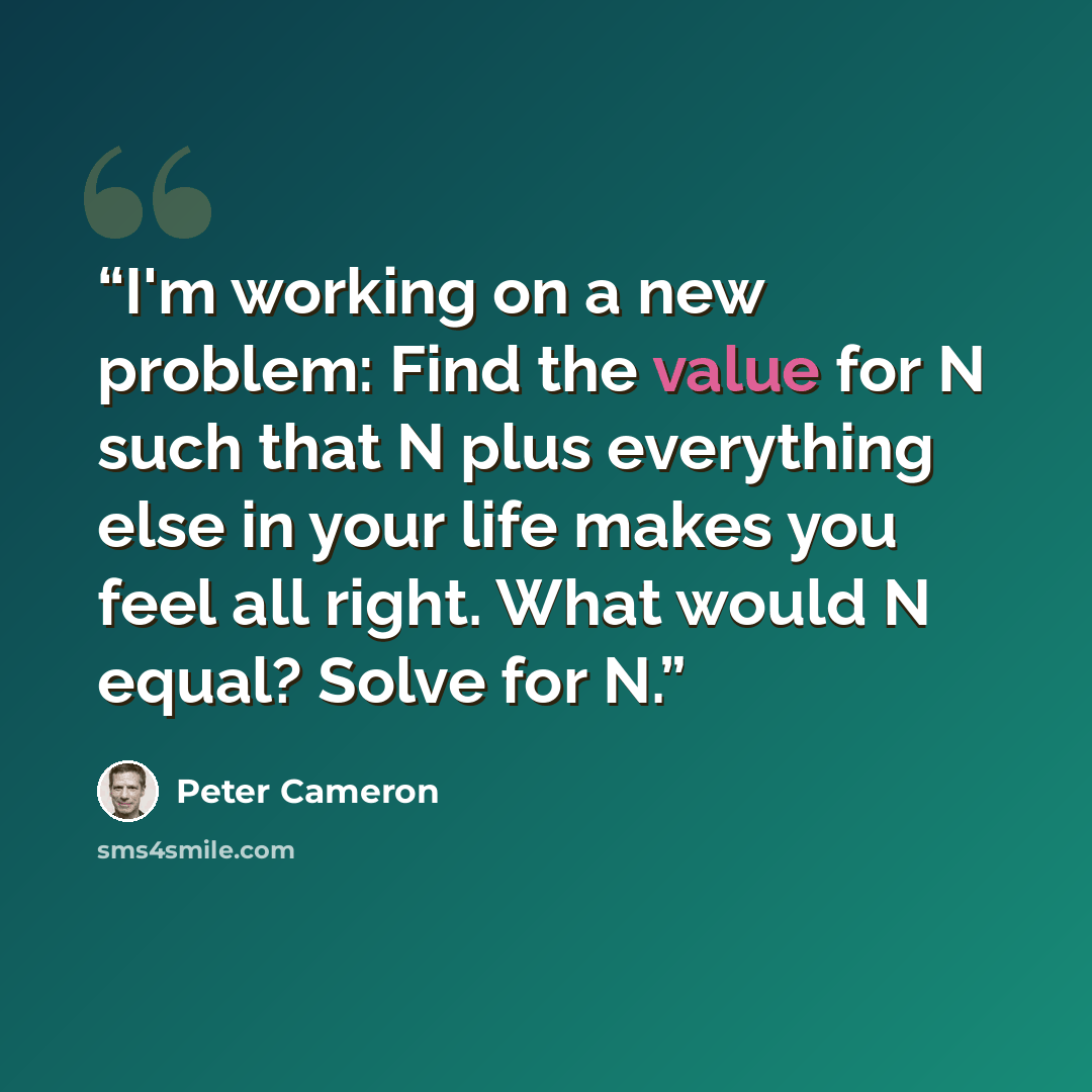 “I'm working on a new problem: Find the value for N such that N plus everything else in your life makes you feel all right. What would N equal? Solve for N.” quote by Peter Cameron